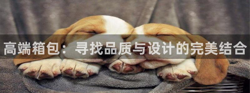 意昂体育3平台是正规平台吗知乎