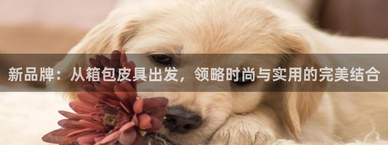 意昂3新能源