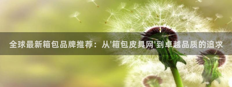 德国意昂3集团