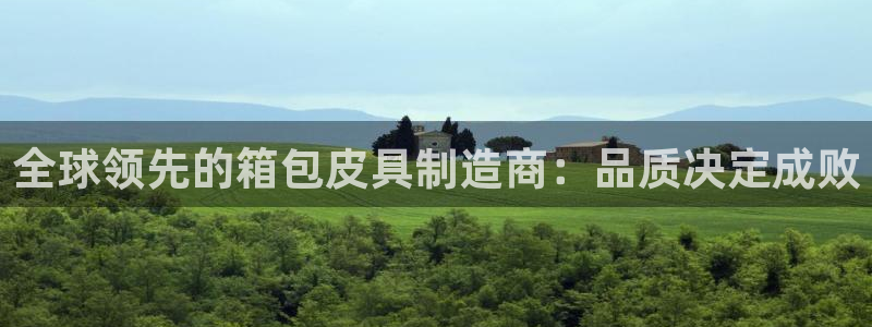 德国意昂3集团