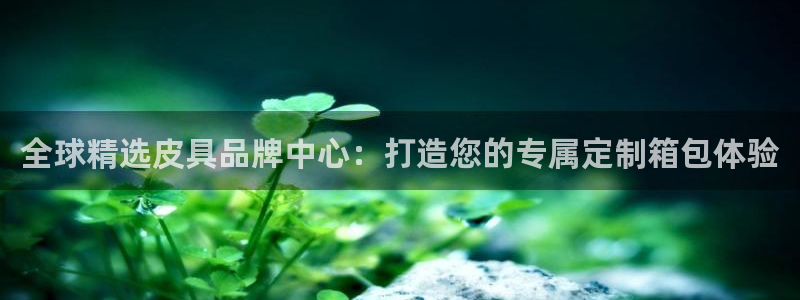 意昂体育3平台注册流程视频